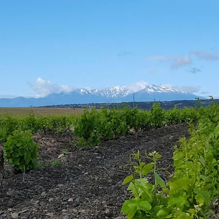 Domaine La Toupie D'hotes Bed & Breakfast 3*