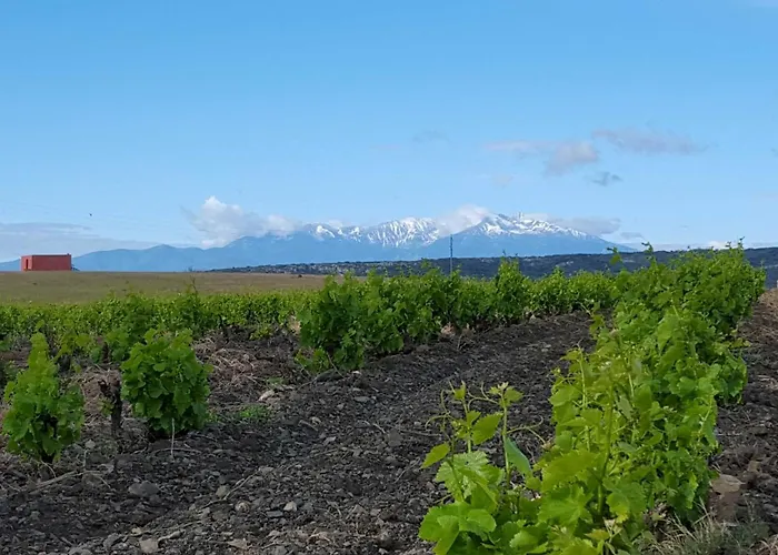 Domaine La Toupie D'hotes Bed & Breakfast 3*