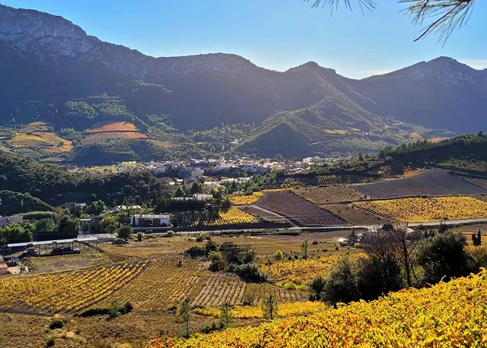 Bed & Breakfast Domaine La Toupie D'hotes